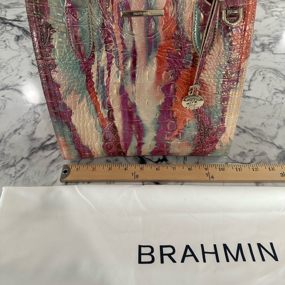 Brahmin Small Caroline Destiny Melbourne Multicolor Purse